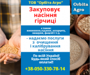 Куплю насіння гірчиці. Київ