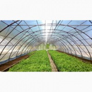 Постійно продаємо плівку для теплиць VATAN PLASTIK. Стрий
