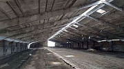 Пропоную в оренду ферми та склади (8 тис. кв. м). Полтава