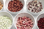 Продам квасоль. Купити квасоль в Україні. Дніпро