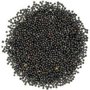 Куплю рапс без ГМО. Київ