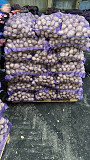 Картопля на продаж оптом. Черкаси