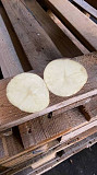 Оптова продаж продовольчої картоплі. Київ