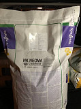 Насіння соняшника Syngenta, Купава, Тунка, Белла, Лімагрейн, Євраліс. Суми