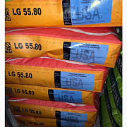 Насіння соняшника Syngenta, Limagrain, Lidea. -> Насіння соняшника від Syngenta, Limagrain, Lidea. Одеса