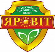 Сорт Біла Альтанка (просо посівне) - ультраскоростиглий. Полтава