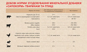 Кормовий сапоніт, фракція 200 мікрон, у біг-бегах. Київ