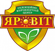 Озима пшениця, еліта, сертифікована. Полтава