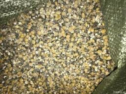 Куплю зернові відходи кукурудзи та половинки сої. Полтава
