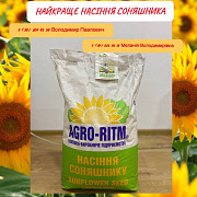 Насіння соняшнику покоління F1. Любашівка