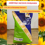 Насіння соняшнику покоління F1. Любашівка