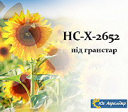 Насіння соняшника НС-Х 2652. Харків