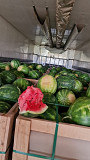 Продаємо кавуни оптом. Звенигородка