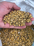 Купую половинки сої. Купую відходи кукурудзи. Полтава