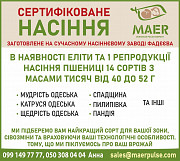 Сертифіковане насіння пшениці. Одеса