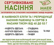 Реалізуємо сертифіковане насіння пшениці. -> Продаємо сертифіковане насіння пшениці. Черкаси