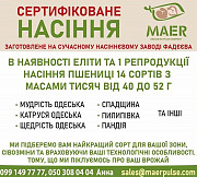 Сертифіковане насіння пшениці (еліти та 1 репродукції). Одеса