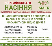 Посівний матеріал пшениці, сертифіковане насіння пшениці. Одеса