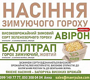 Посівний матеріал: насіння озимого гороху. Вінниця