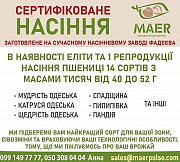 Продаж сертифікованого насіння пшениці. Полтава