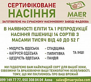Сертифіковане насіння пшениці еліти та першого покоління. Харків