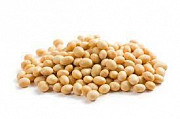 Куплю сою. Продам сою. Закупівля сої. Вінниця