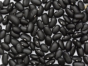 Продаж квасолі. Продам квасолю. Купити квасолю. -> Продаж квасолі. Продам квасоль. Купити квасоль. Луцьк