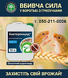 Бактерицид. Київ