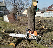 Професійні послуги з вирубки дерев будь-якої складності. Кривий Ріг