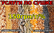Послуги з сушіння за 150 грн/тону/відсоток. Дніпро