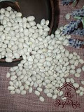 Куплю квасолю. Приймаю квасолю. Закупівля квасолі. Харків